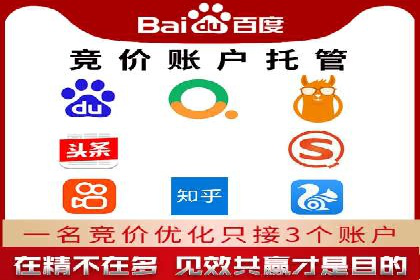 百度广告投放策略：成功案例解析